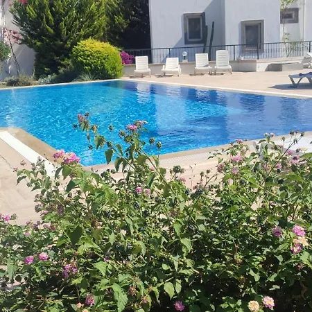 Apartment Ibak