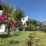 شقة Ibak