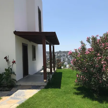 ıbak *